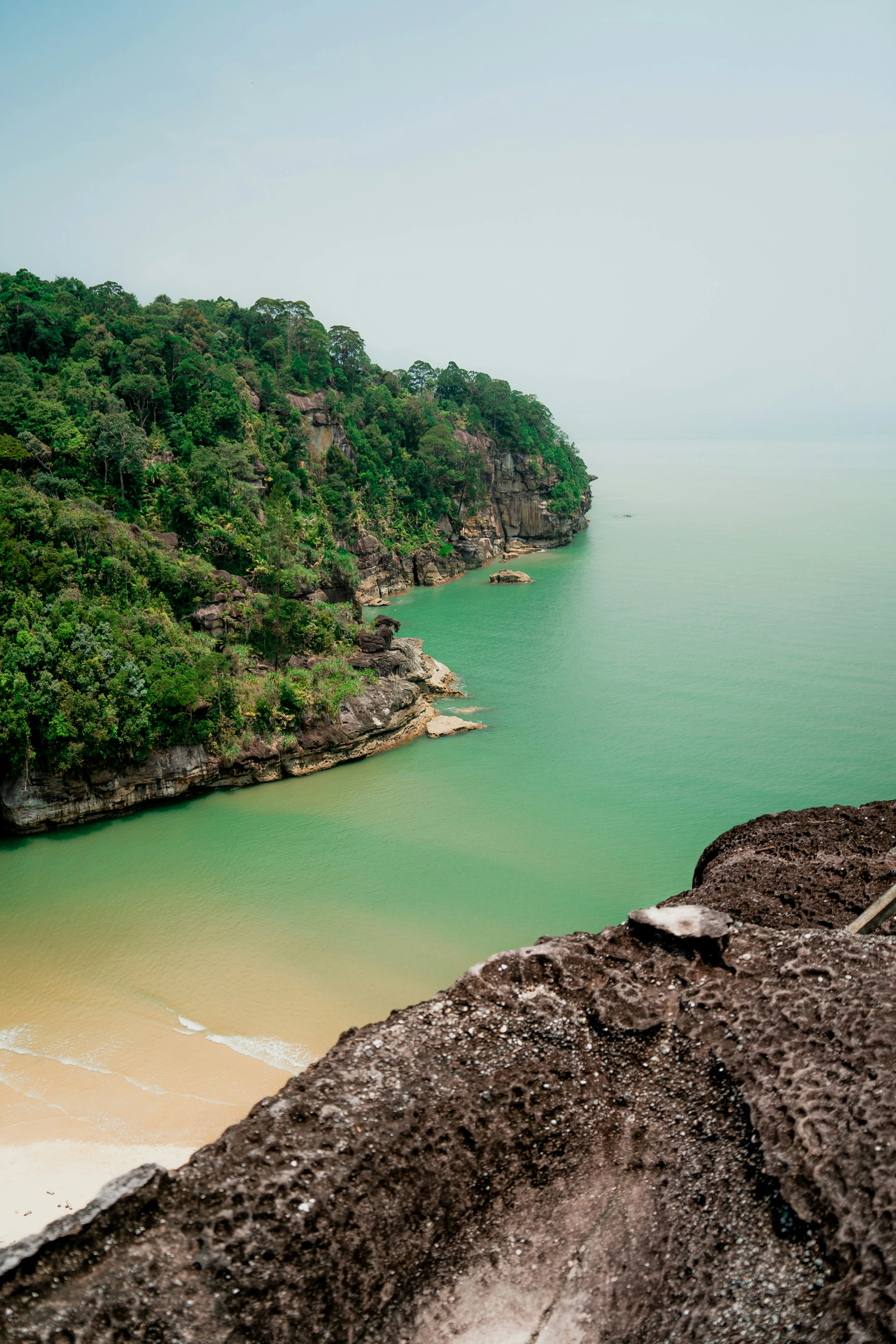 Sarawak Nature